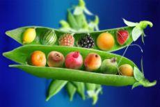  3 diete de detoxifiere ideale pentru vara