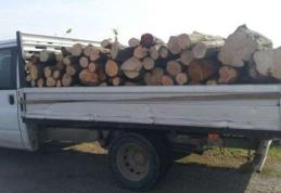 Material lemnos fără documente legale, confiscat de poliţişti