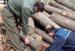 Material lemnos fără documente legale, confiscat de poliţiştii botoșăneni