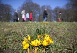 Cum va fi vremea de Paşte 2017. Surprize mari de la meteorologi