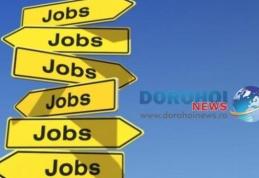 Angajatorii din Spaţiul Economic European oferă peste 1000 de locuri de muncă prin intermediul reţelei EURES