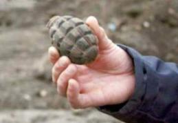 A mers la cules urzici, dar a descoperit o grenadă