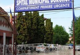 Două femei din Brăeşti au fost atacate de o scroafă