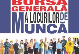 Bursa generală a locurilor de muncă: Peste 450 locuri de muncă vacante puse la dispoziție de agenții economici