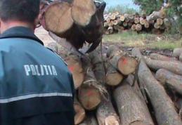 Acțiuni ale polițiștilor botoșăneni pentru combaterea ilegalităților din domeniul silvic!