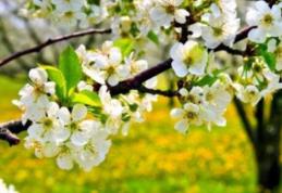 După iarna din aprilie, iată ce ne așteaptă până în iulie - prognoza meteo pe 3 luni