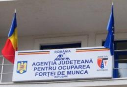 În atenția angajatorilor! AJOFM Botoșani acordă servicii de medierea muncii!