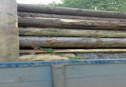 Transport ilegal de material lemnos depistat de poliţiştii de frontieră dorohoieni