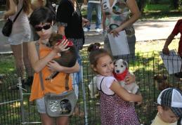 Ador le multumeste tutror celor care au participat sambata la concursul de frumusete canina! - FOTO
