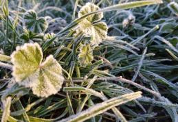 Cea mai geroasă noapte din luna mai. Temperaturi de minus 4 grade Celsius