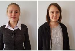 Succese ale școlii ibăneștene la concursurile școlare