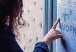 Stimulente pentru angajarea elevilor şi studenţilor pe perioada vacanţei 