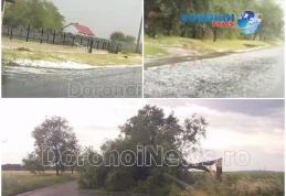 Furtuni violente în județul Botoșani! Grindină și copaci căzuți pe carosabil - FOTO