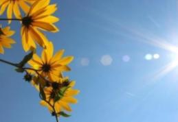 ANM: Prognoza meteo pentru iulie – septembrie. Lunile iulie și august, sub semnul deficitului de precipitații