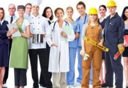Peste 800 de locuri de muncă vacante în Spaţiul Economic European 