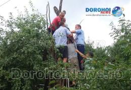 Incident grav la Hilișeu-Horia! Bărbat în stare critică după ce drujba cu care tăia un copac i-a amputat antebrațul