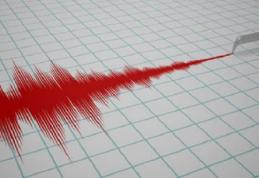 Cutremur în zona Vrancea, duminică seara. A fost al şaptelea din ultima săptămână