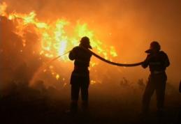 12 tone de furaje distruse în două incendii