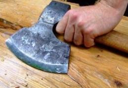 Austria caută tăietori de lemne. Salariul, 1.200 euro pe lună