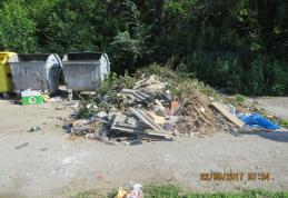 Acţiuni pentru păstrarea curăţeniei şi ordinii în Municipiul Dorohoi - FOTO