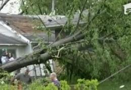 Botoşănenii loviţi de natură şi în acest an