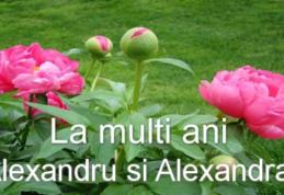 Mesaje, urări, sms-uri şi felicitări: LA MULŢI ANI, Alexandru, Alex şi Alexandra