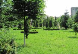  Primăriile care nu au întocmit Registrul de Spații Verzi vor primi amenzi