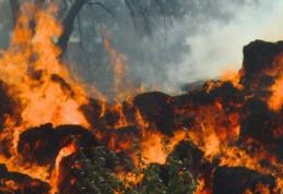 Incendiu de amploare la Havârna! 800 de baloţi de furaje mistuite de flăcări