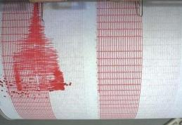 Cutremur cu magnitudinea de 3,5 grade in Vrancea