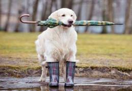 Vremea se răcește sever în toată țara. Prognoza meteo pentru următoarea perioadă