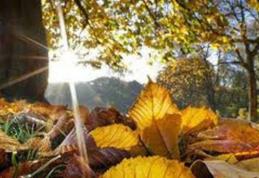 Meteo: Ne mai dezmorțim puțin, dar nu trebuie să avem așteptări prea mari