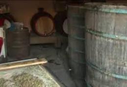 Vinul pus la fermentat poate ucide!