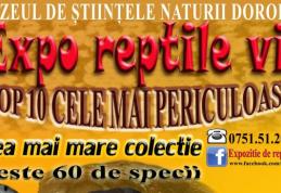 Expoziţie de „Reptile vii”, la Muzeul de Ştiinţele Naturii Dorohoi!