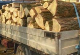 Amendă de 3 mii lei și 2,51 metri cubi de material lemnos confiscat