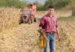 Deții terenuri agricole sau ferme de animale? Află ce subvenții se acordă în acest an și când vor începe plățile