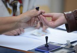 Toate activitățile privind pregătirea alegerilor locale parțiale sunt în grafic