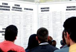 AJOFM Botoşani: 85 de locuri de muncă vacante săptămâna aceasta