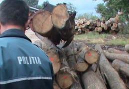 Material lemnos confiscat de Poliţiştii Biroului Rutier Dorohoi