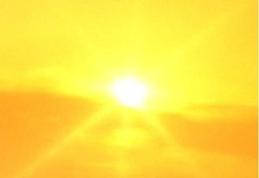 Soarele şi vitamina D