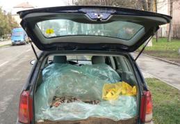 Peşte vândut fără documente legale, confiscat de jandarmi 