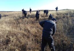 Jandarmii botoşăneni în campanie de împădurire. Natura poate exista fără oameni, dar oamenii nu pot supravieţui fără natură - FOTO