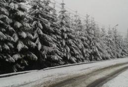 Cod GALBEN de ninsori abundente: vânt puternic, strat de zăpadă consistent