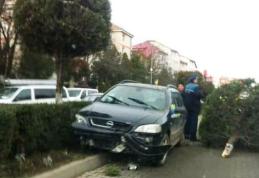 Accident pe Bulevardul Victoriei! A rupt un brad și s-a oprit pe contrasens după ce a scăpat mașina de sub control - FOTO