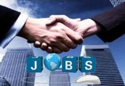 Școala Profesională Specială „Ion Pillat” Dorohoi organizează concurs pentru un post de paznic și unul de șofer