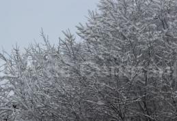 INFORMARE METEO. Din această noapte se strică vremea. Vin ninsorile iar vântul va prezenta intensificări
