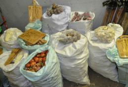 Mii de obiecte de artizanat fără documente, confiscate de polițiștii de frontieră Botoșani - FOTO