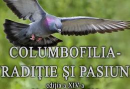 Expoziția de porumbei „Columbofilia – Tradiție și pasiune” la Muzeul de Știintele Naturii Dorohoi