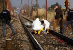 Tânăr român, găsit MORT pe o linie de cale ferată din Italia