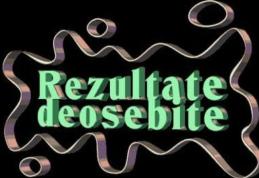 Succese ale elevilor de la Liceul „Regina Maria” Dorohoi, la olimpiadele școlare