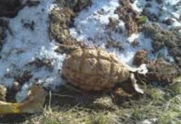 Muniţie găsită în gospodăria unui localnic din județul Botoșani